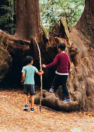 Jeux en Forêt, Vacances en famille, Randonnée-balade-trail